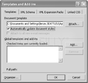 Figure 2-27: The "Automatically update document styles" checkbox